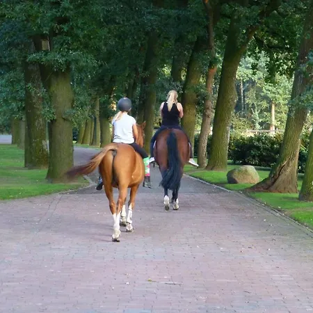 Grosse Ferienwohnung, Auf Bauernhof Mit Ponys Und Pferden, Laendlich Und Ruhig, Naehe Duemmer דירה Holdorf